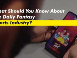 What Should You Know About the Daily Fantasy Sports Industry